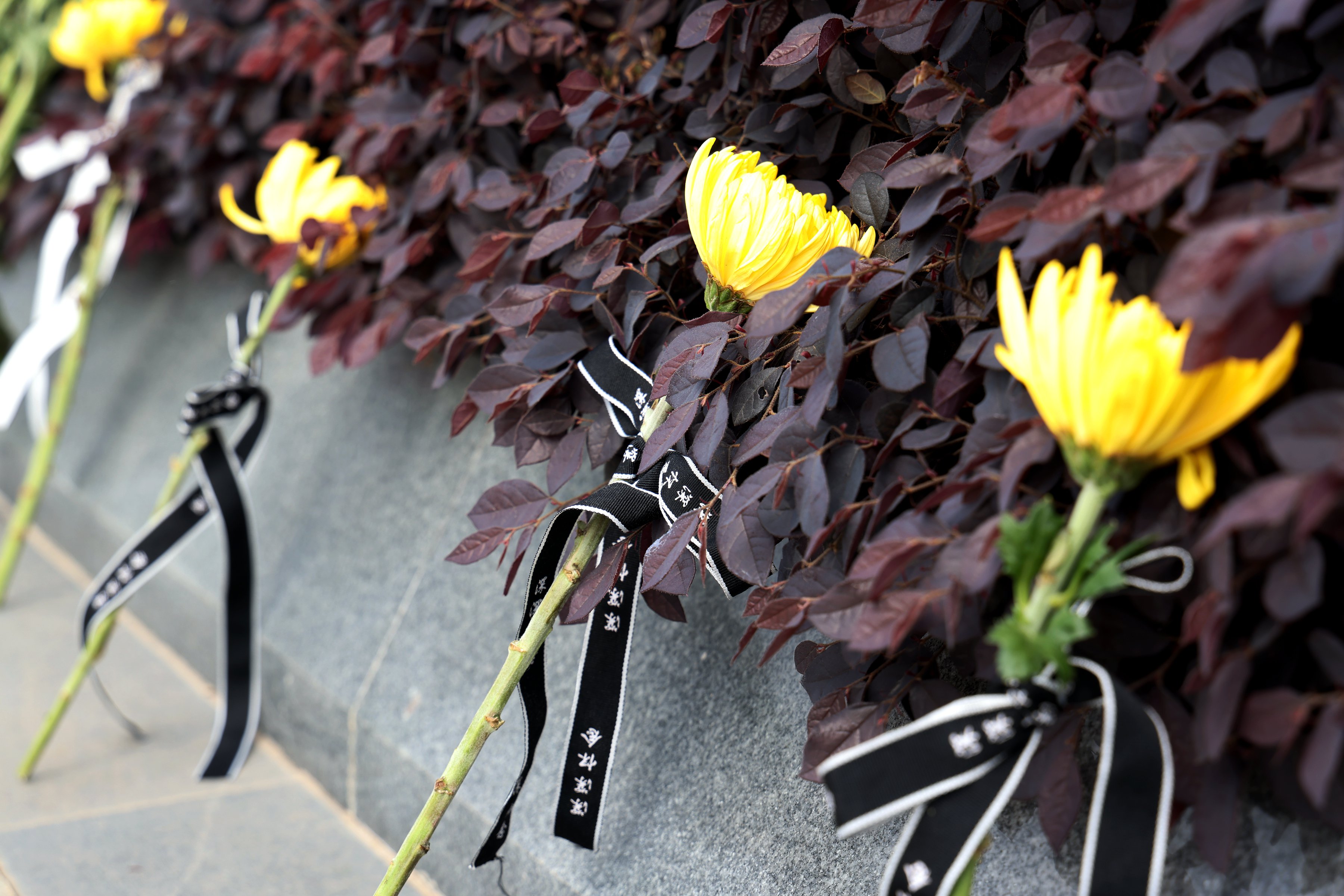 首页- 人生就是博中国官网入口