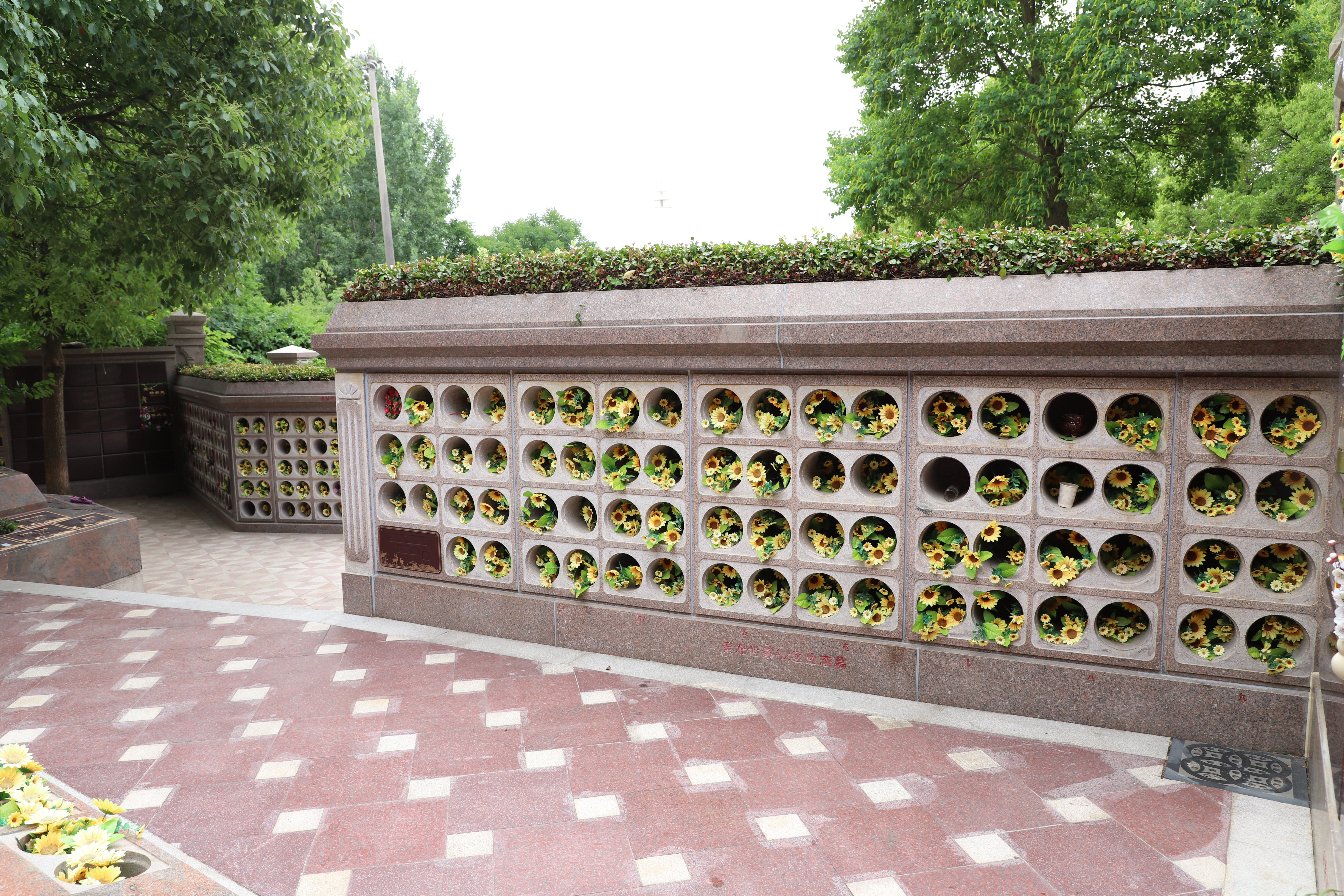 首页- 人生就是博中国官网入口