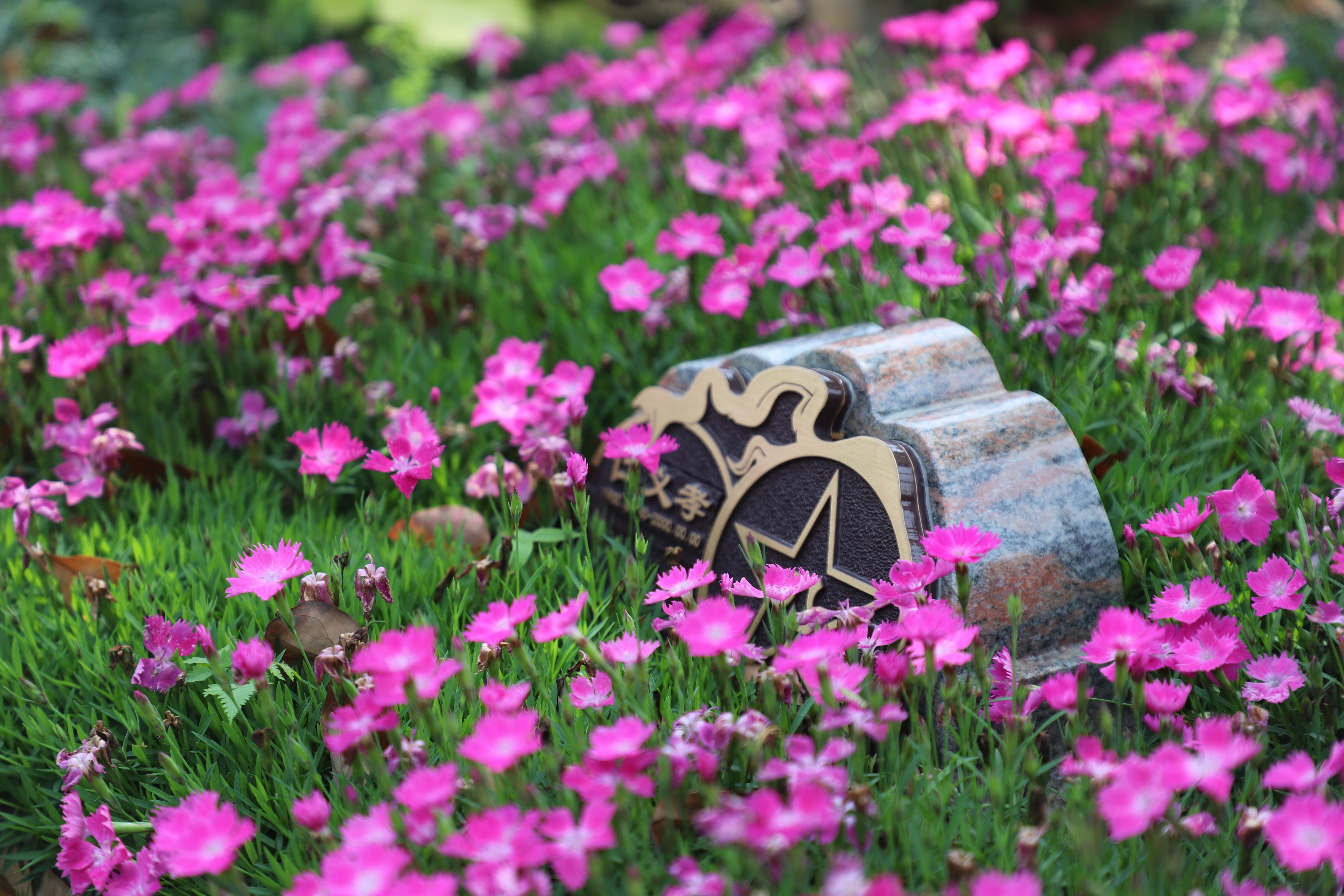 首页- 人生就是博中国官网入口