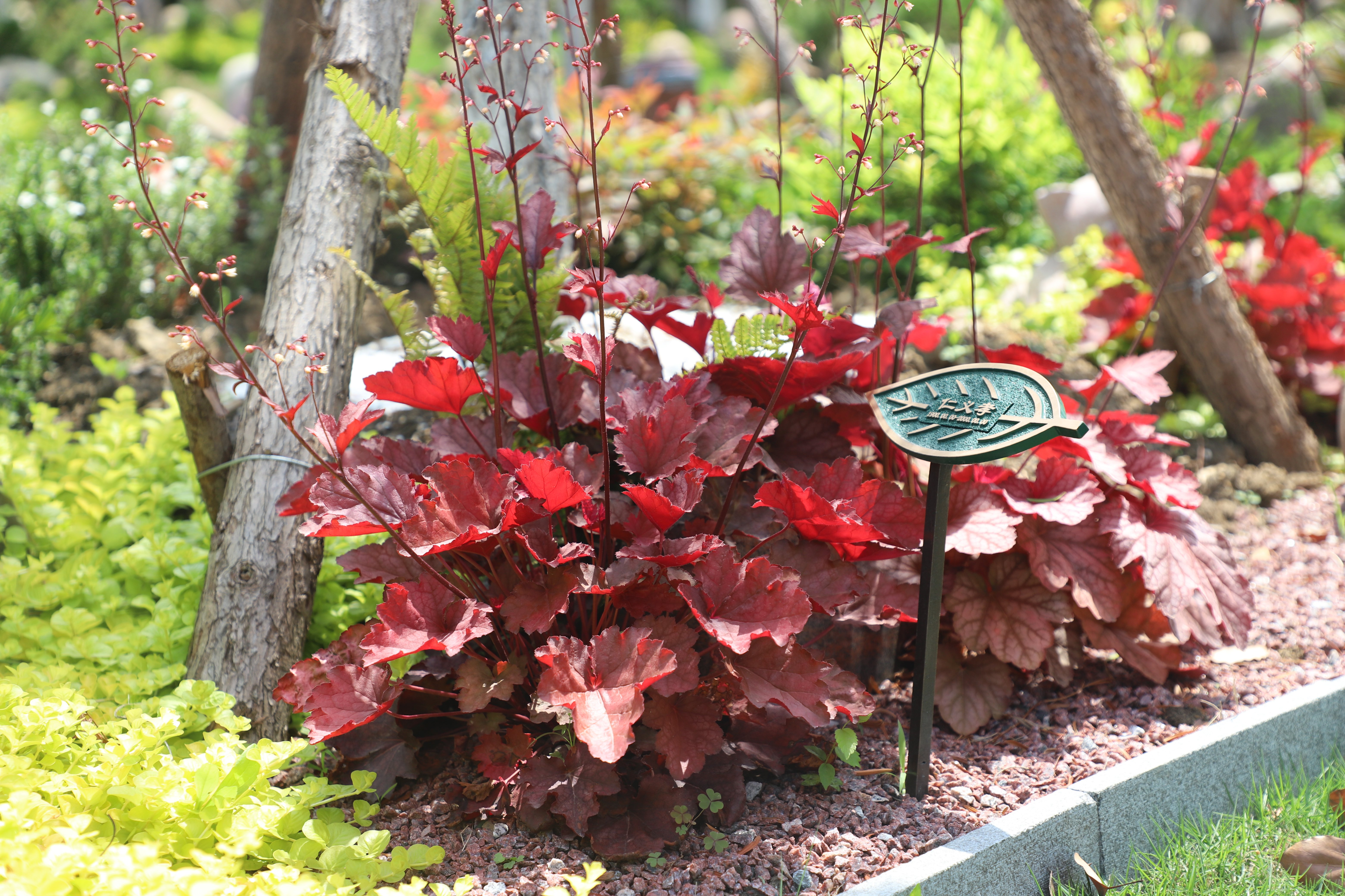 首页- 人生就是博中国官网入口