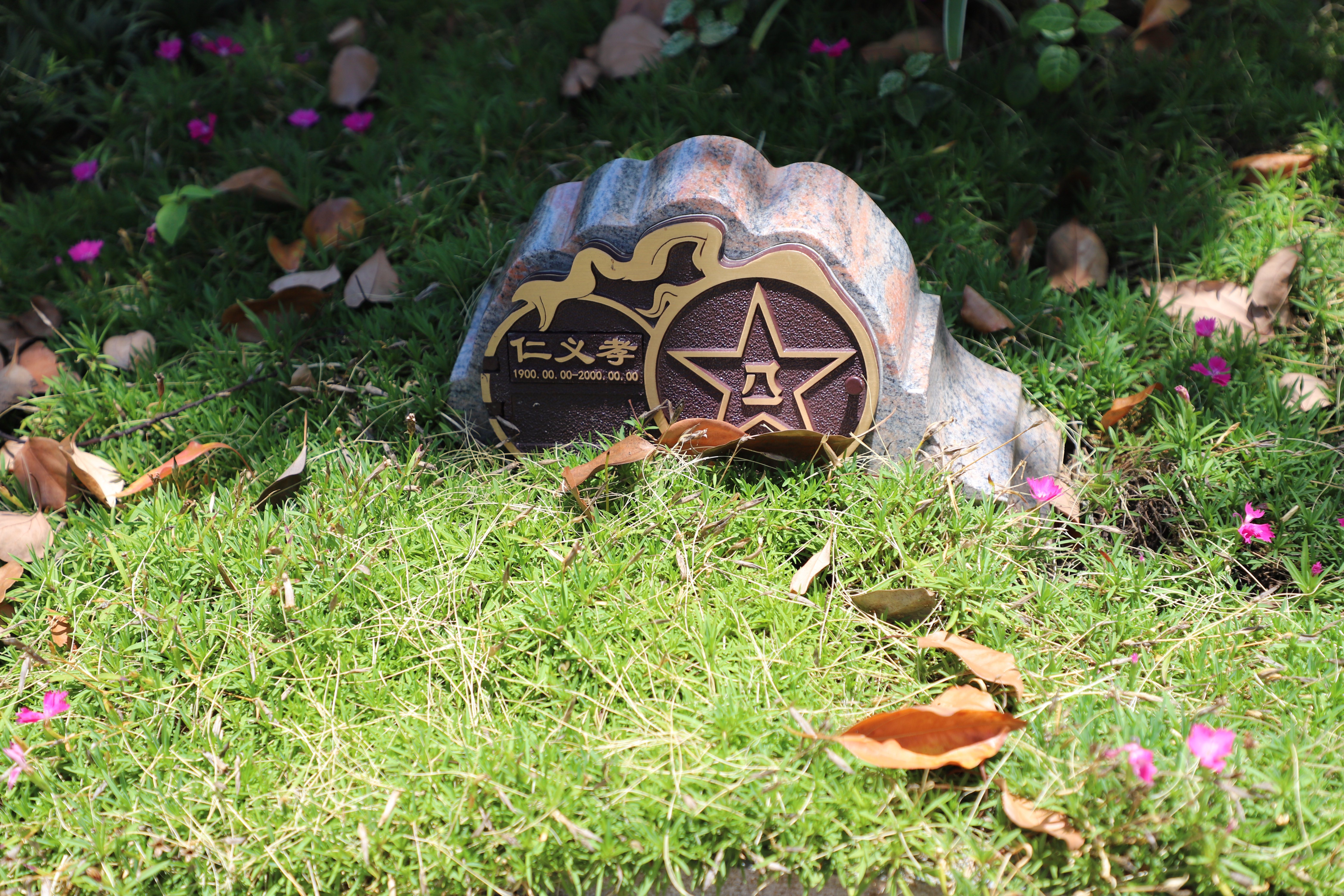 首页- 人生就是博中国官网入口