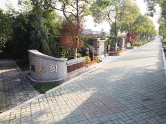 城市最后一平米：生态葬，是与天然的和解？还是无奈的选择？