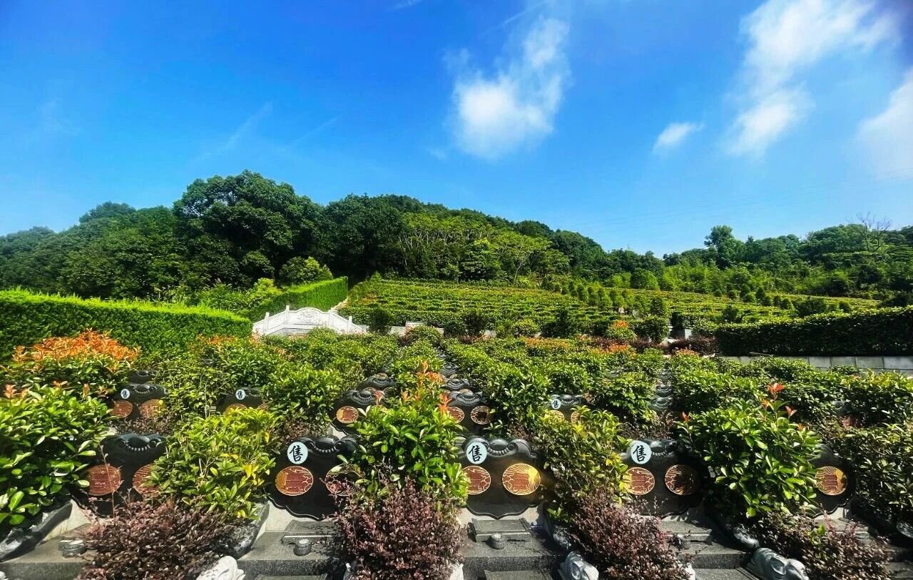 首页- 人生就是博中国官网入口