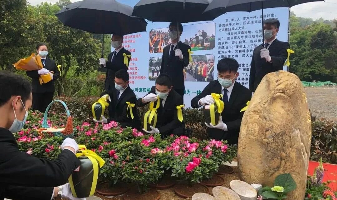 首页- 人生就是博中国官网入口