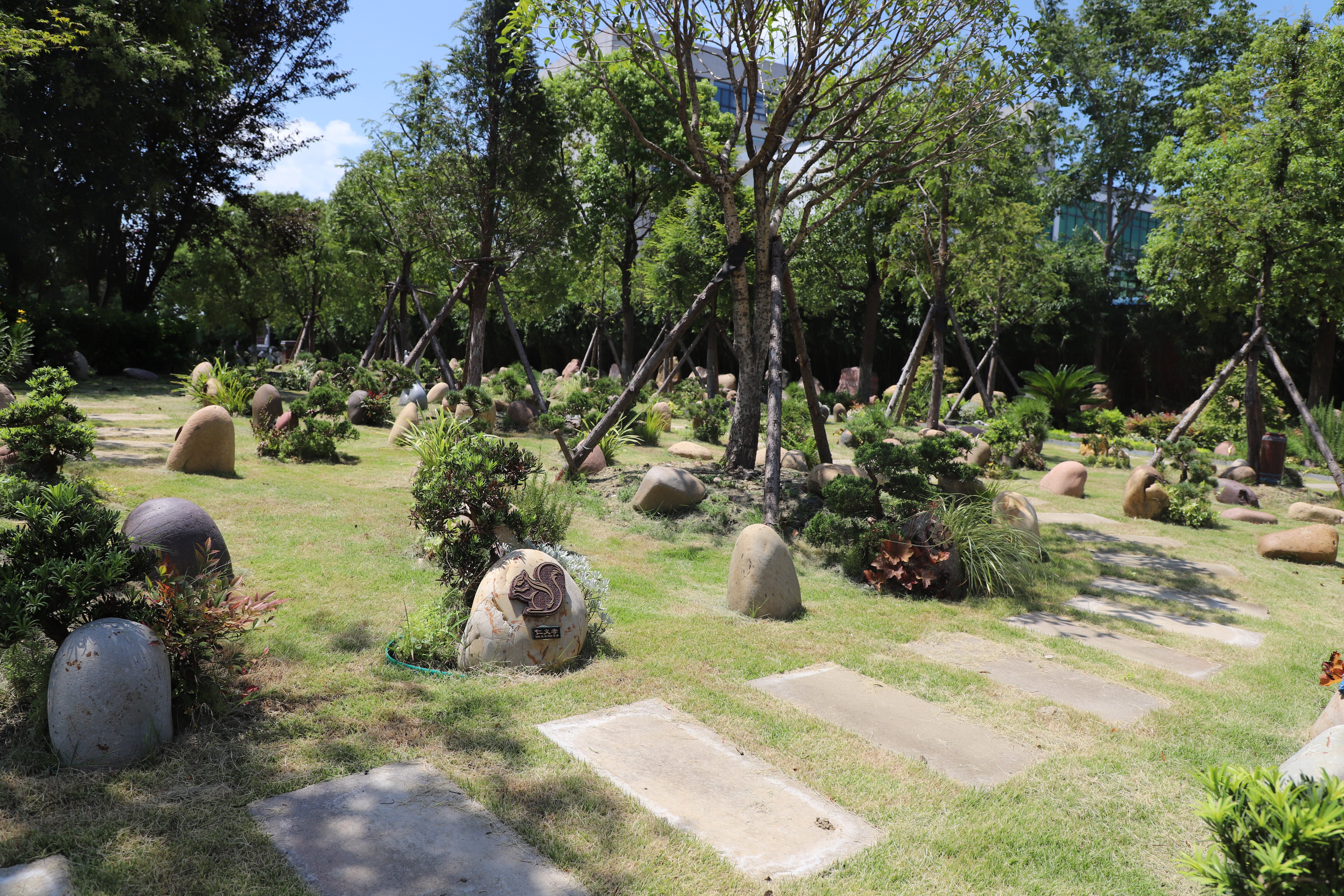 首页- 人生就是博中国官网入口