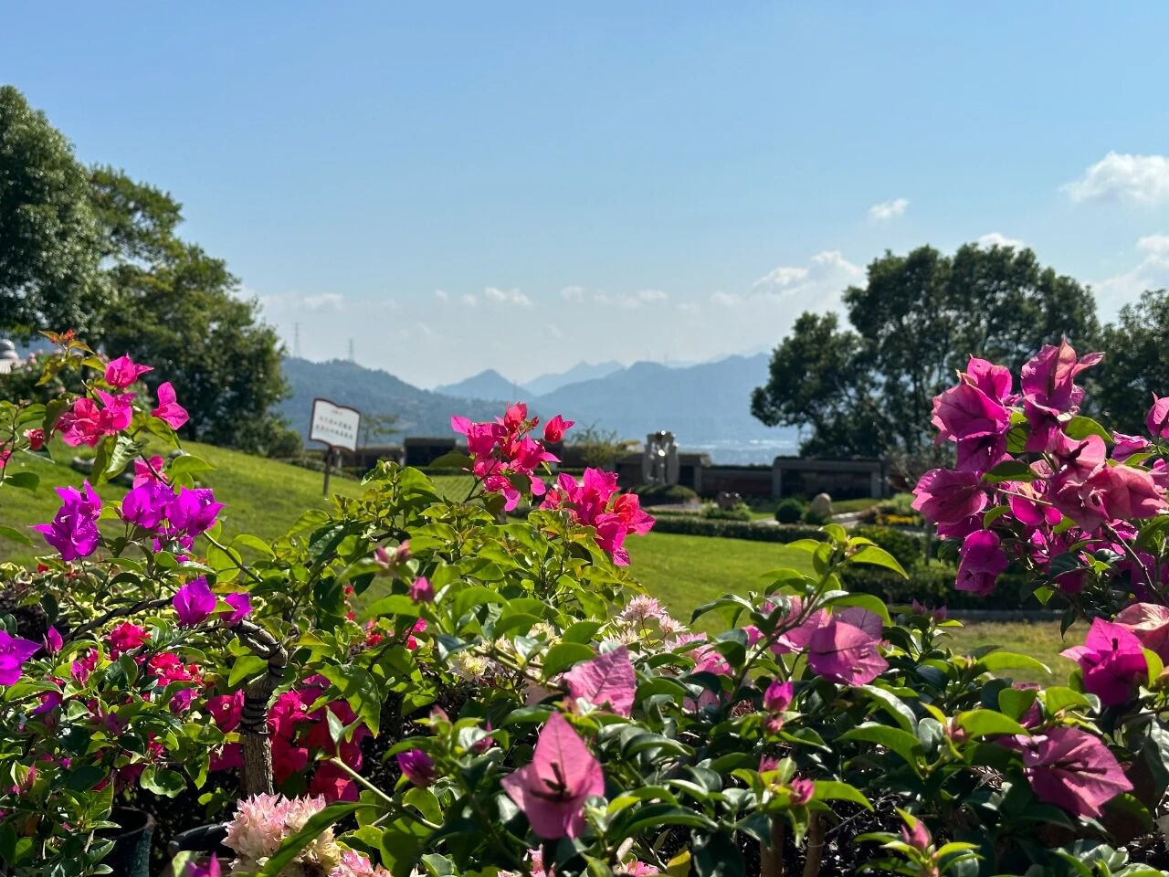 首页- 人生就是博中国官网入口