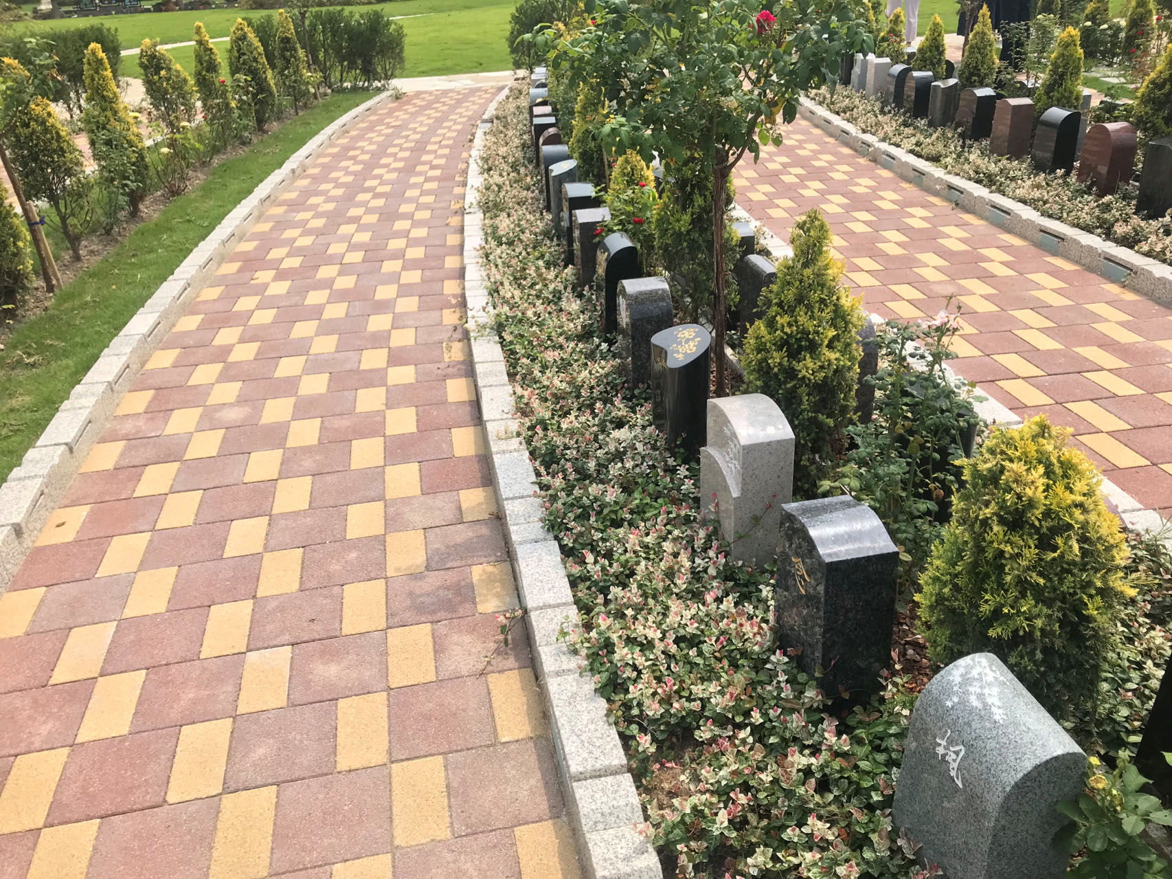 首页- 人生就是博中国官网入口