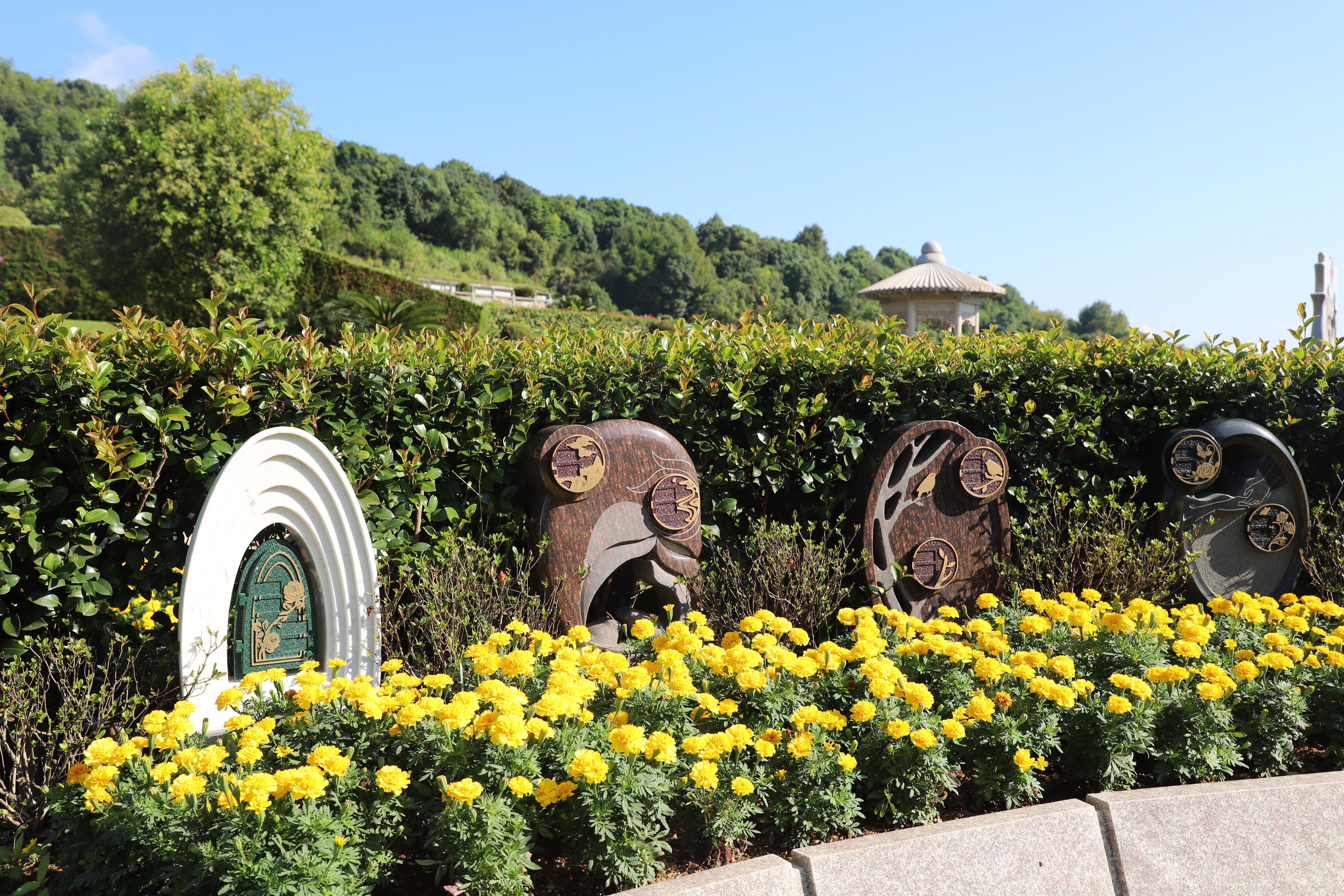 首页- 人生就是博中国官网入口